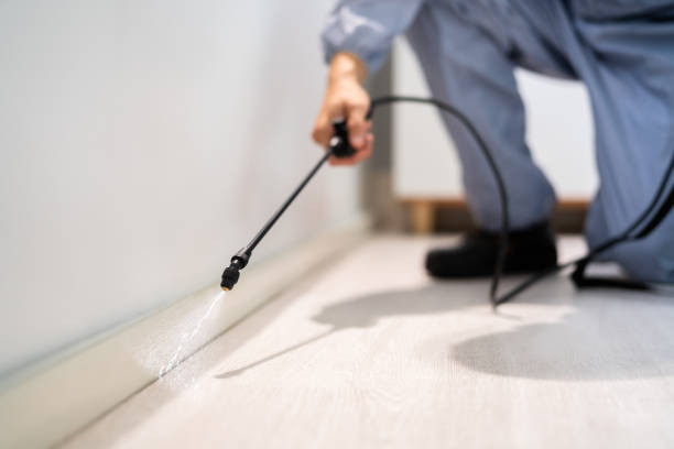 Bed Bug Pre-Treatment Preparation Assessment in Bennet