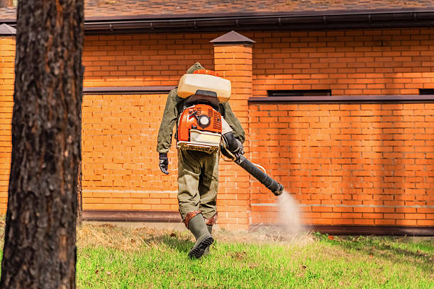 Bed Bug Clearance Verification and Documentation in Bennet